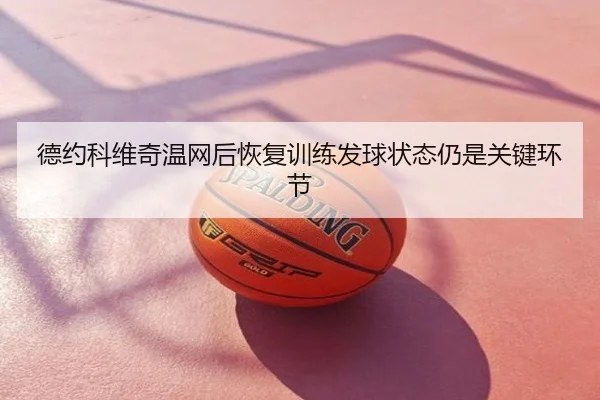 德约科维奇温网后恢复训练发球状态仍是关键环节